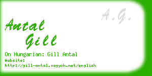 antal gill business card